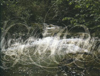 Bibliografia - Biblioteca i hemeroteca image 47