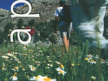 Bibliografia - Biblioteca i hemeroteca image 43