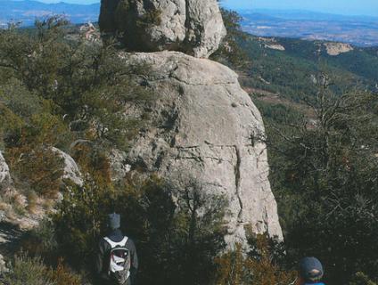 Bibliografia - Biblioteca i hemeroteca image 45