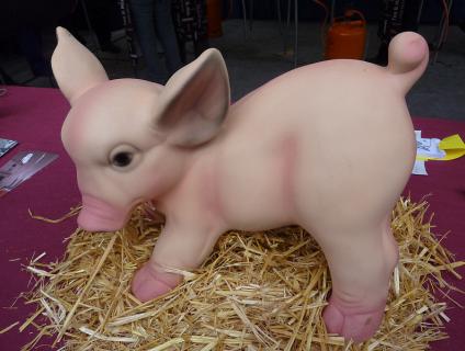 Esdeveniments - Festa del Mandongo 2013 image 2